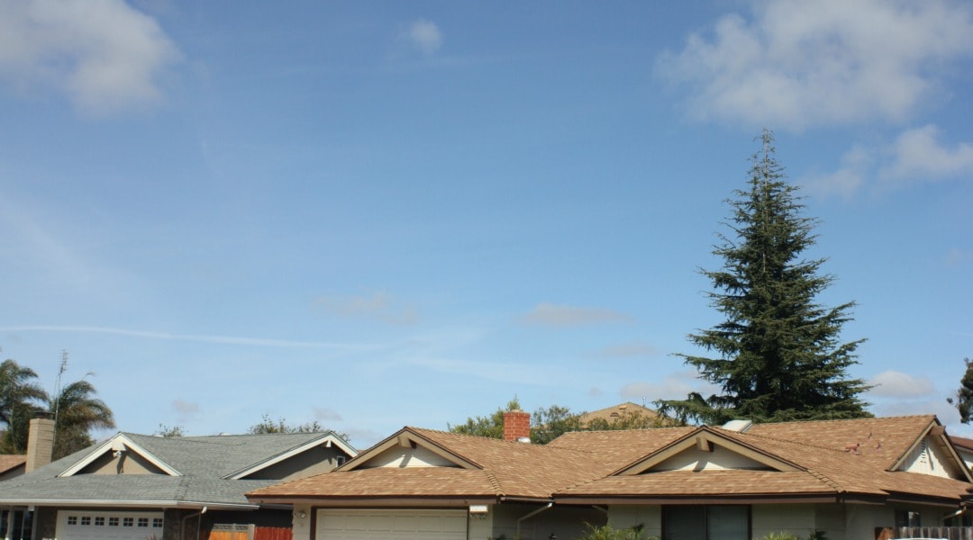 Banner of Roof 2